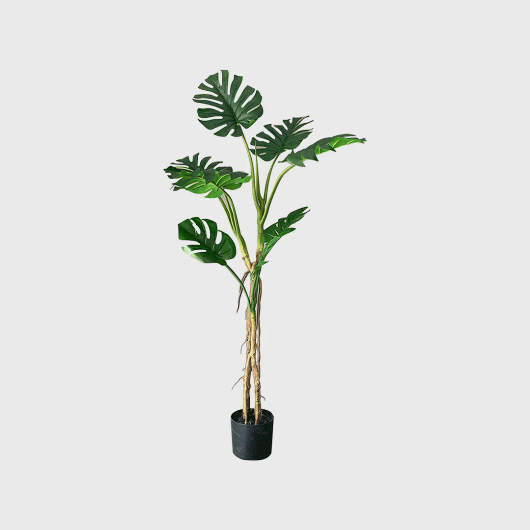 Enhance Your Home with the Artificial Turtle Back Plant: A Modern Greenery Solution!