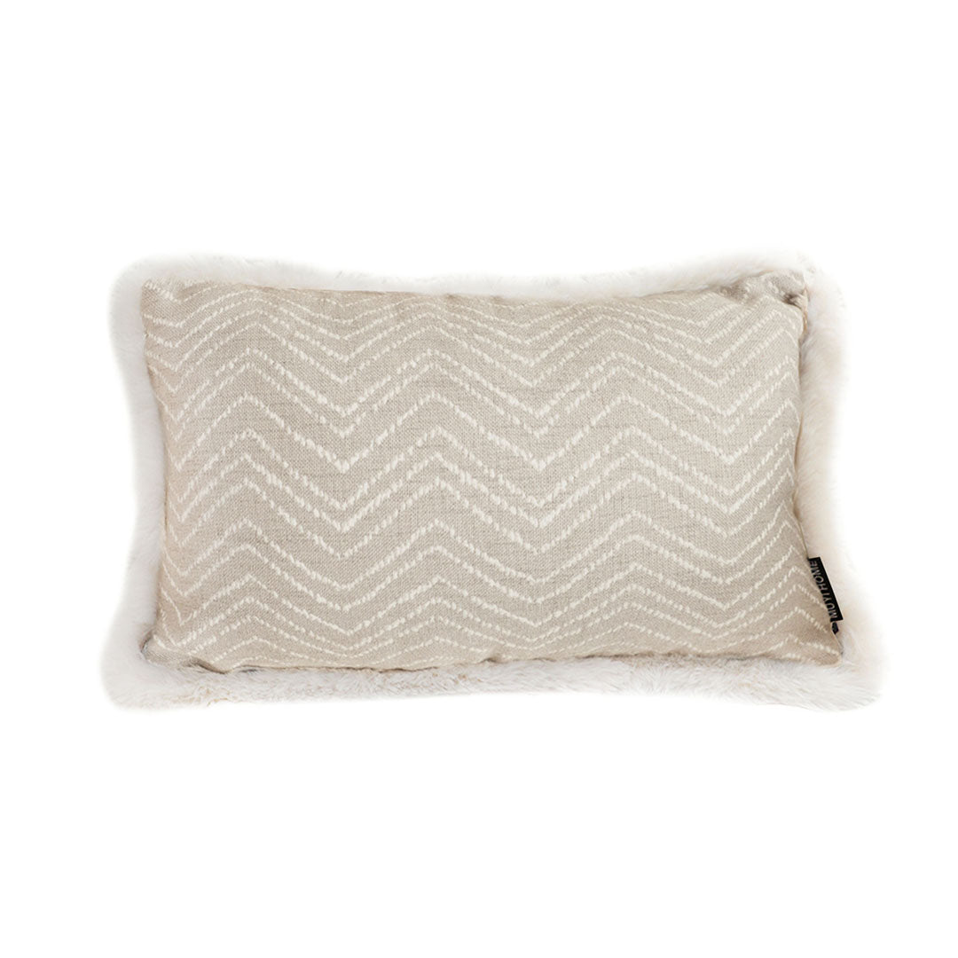 Modern Luxury Elegant pillow