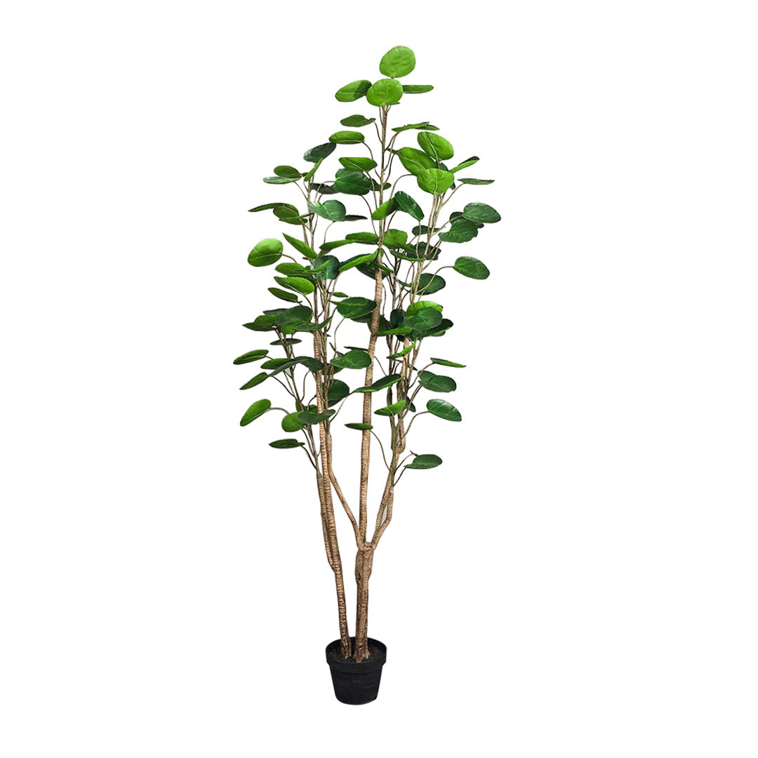 SOGA 180cm Artificial Indoor Pocket Money Tree