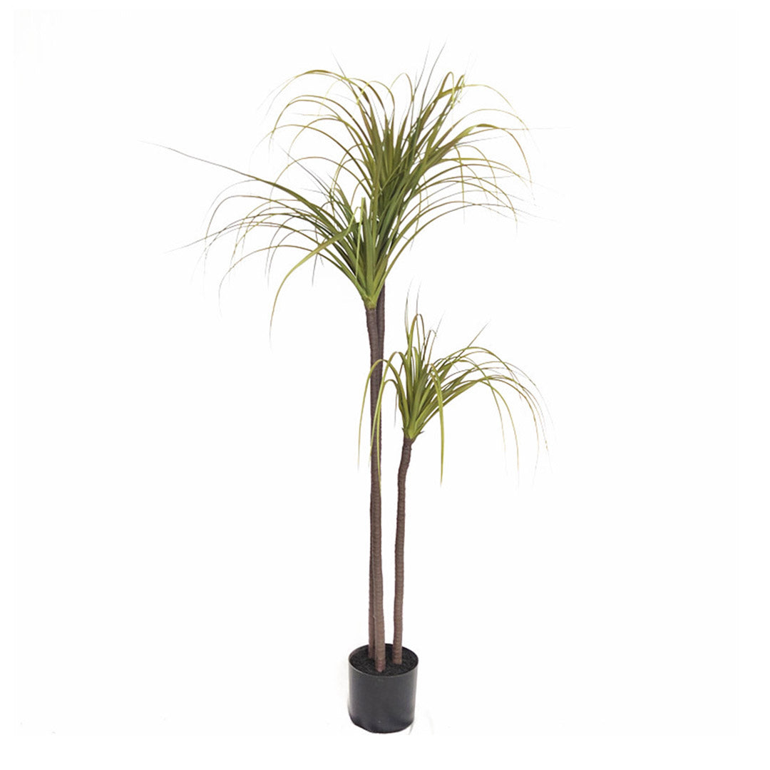 SOGA 145cm Artificial Indoor Dragon Blood Tree