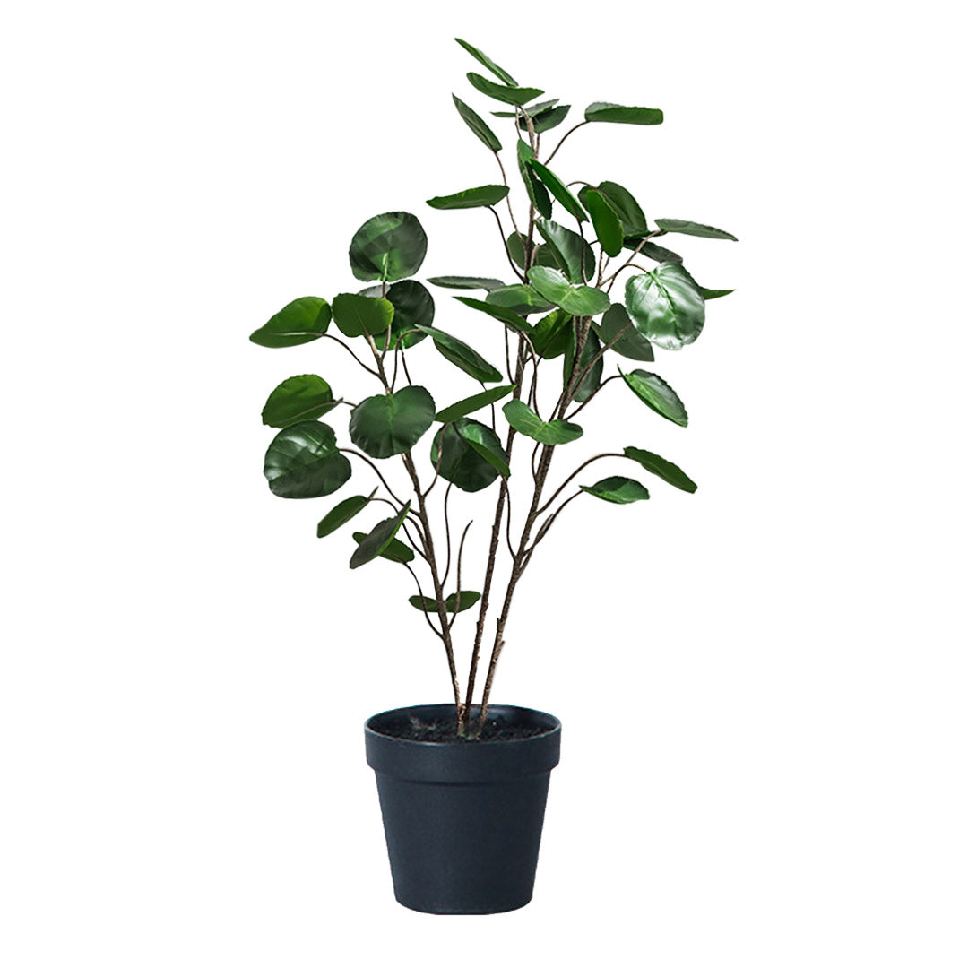 SOGA 95cm Artificial Indoor Pocket Money Tree