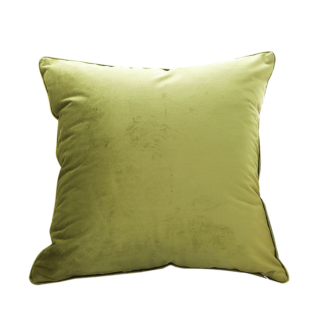 VividGreen Velvet Throw pillow