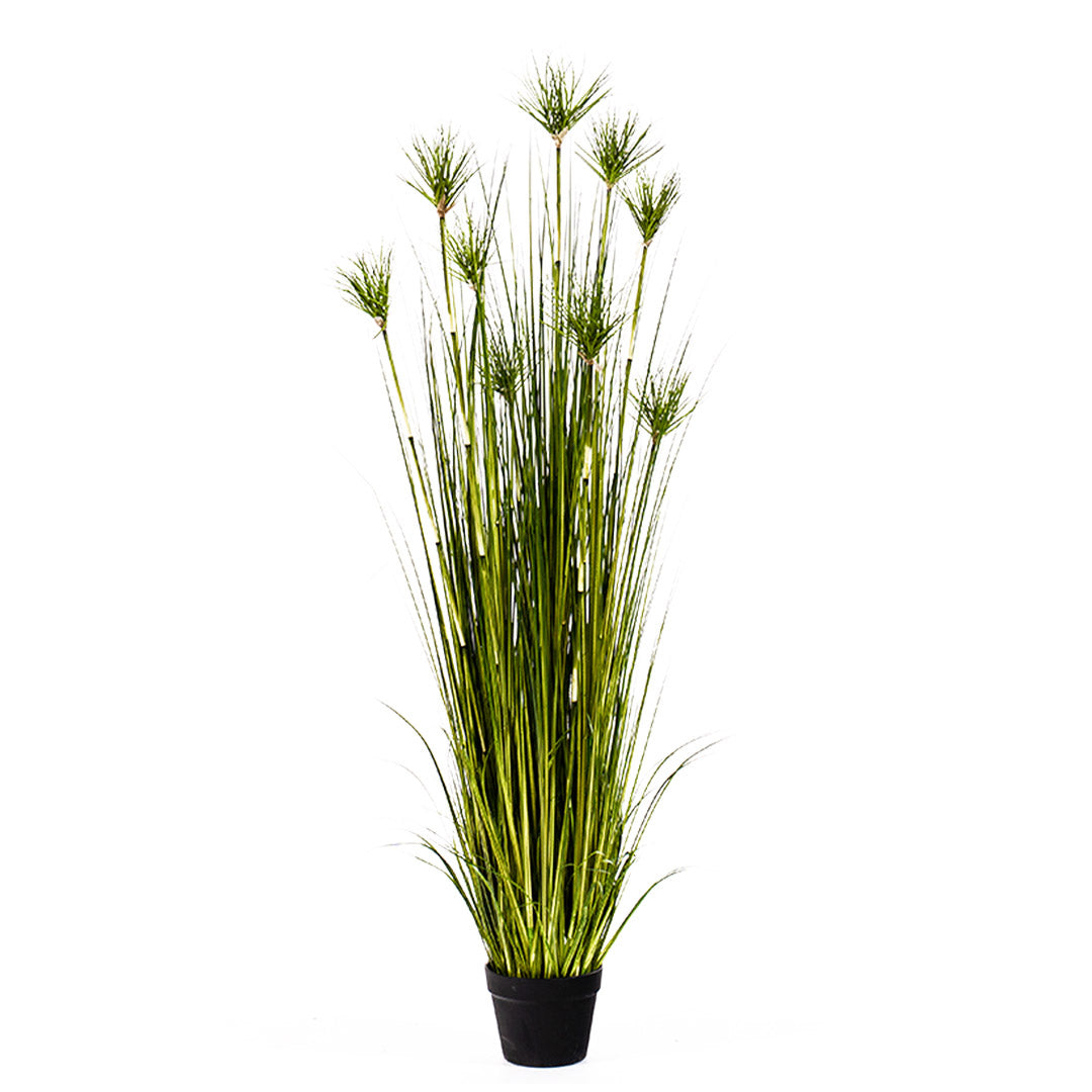 SOGA 150cm Green  Artificial Indoor Potted Papyrus Plant