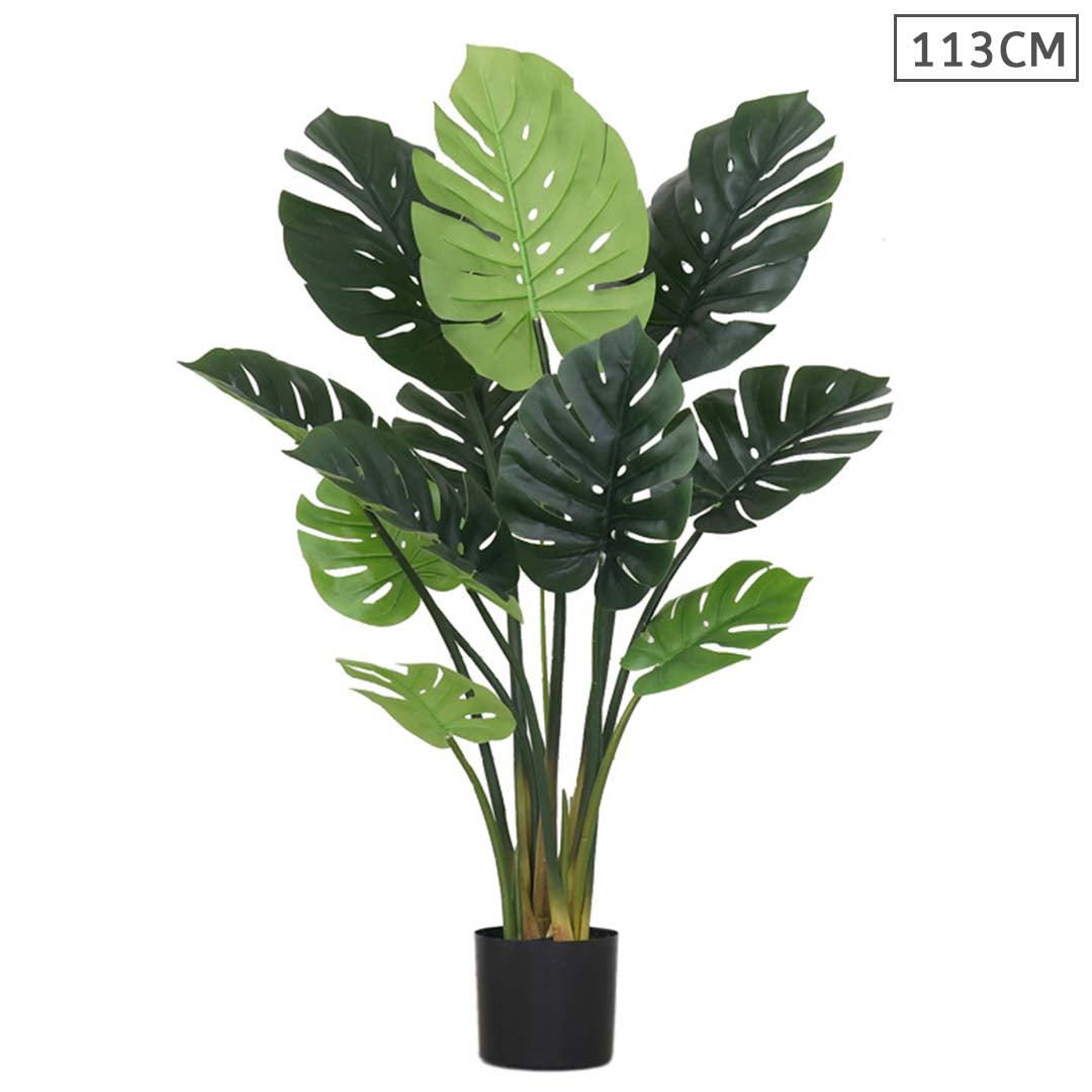 Artificial Potted Turtle Back Plant