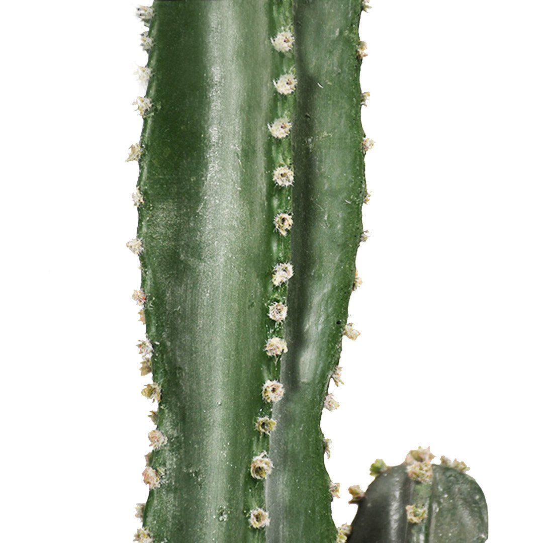 Artificial cactus Potted