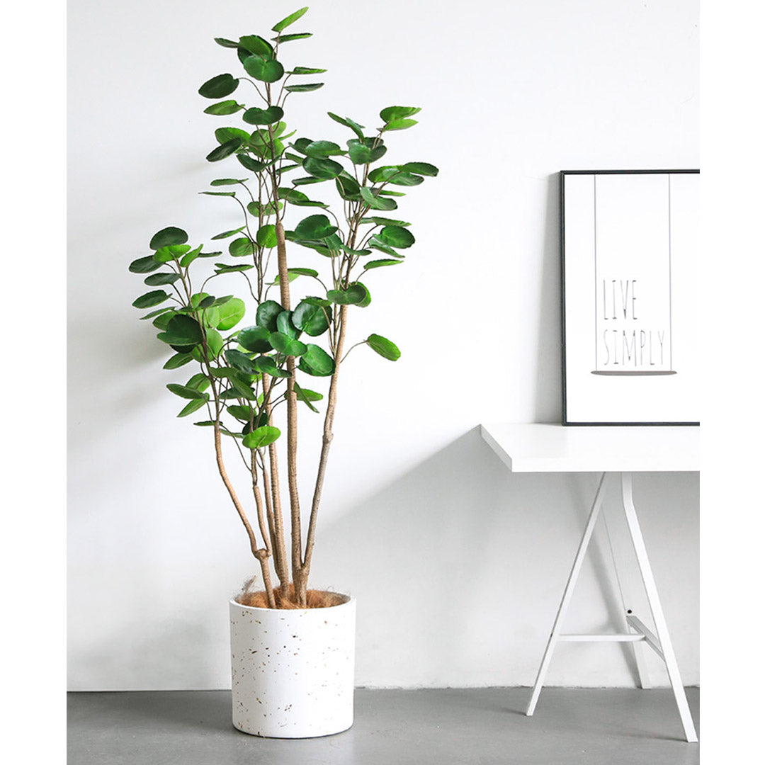 SOGA 150cm Artificial Indoor Pocket Money Tree