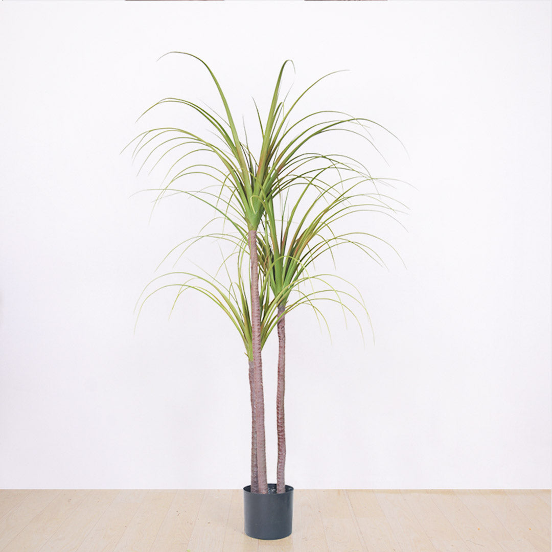 SOGA 145cm Artificial Indoor Dragon Blood Tree