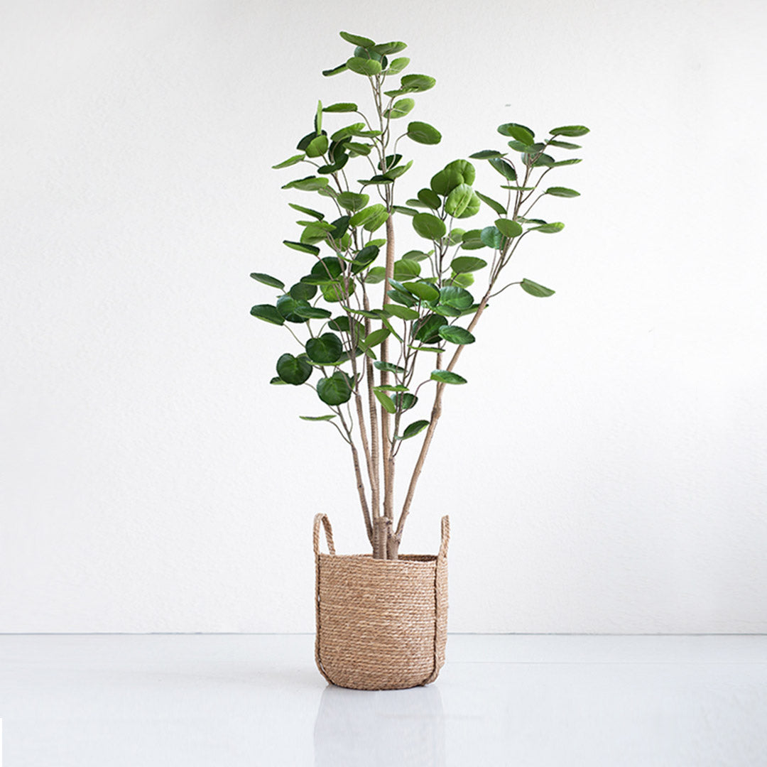 SOGA 180cm Artificial Indoor Pocket Money Tree