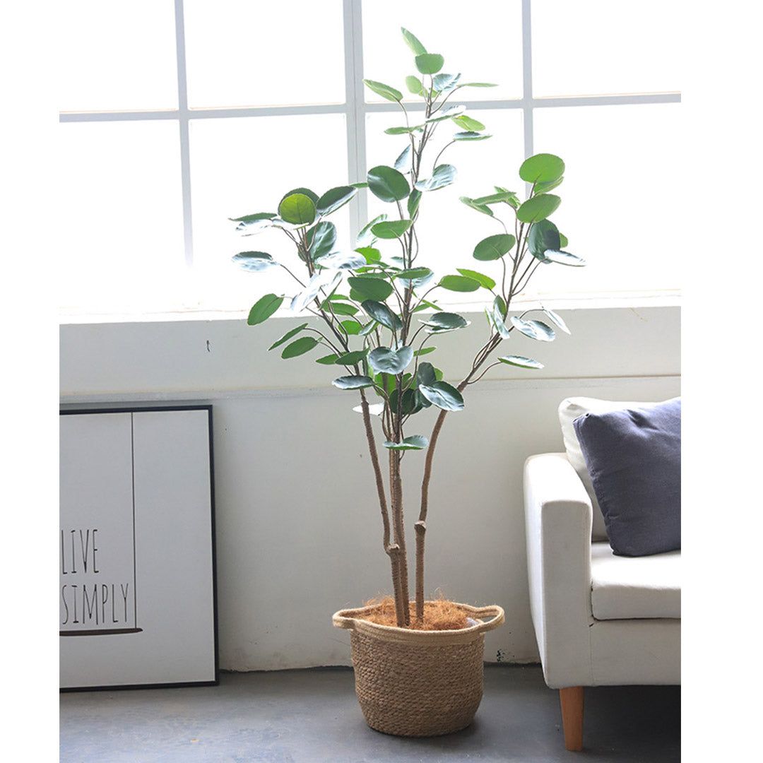 SOGA 150cm Artificial Indoor Pocket Money Tree