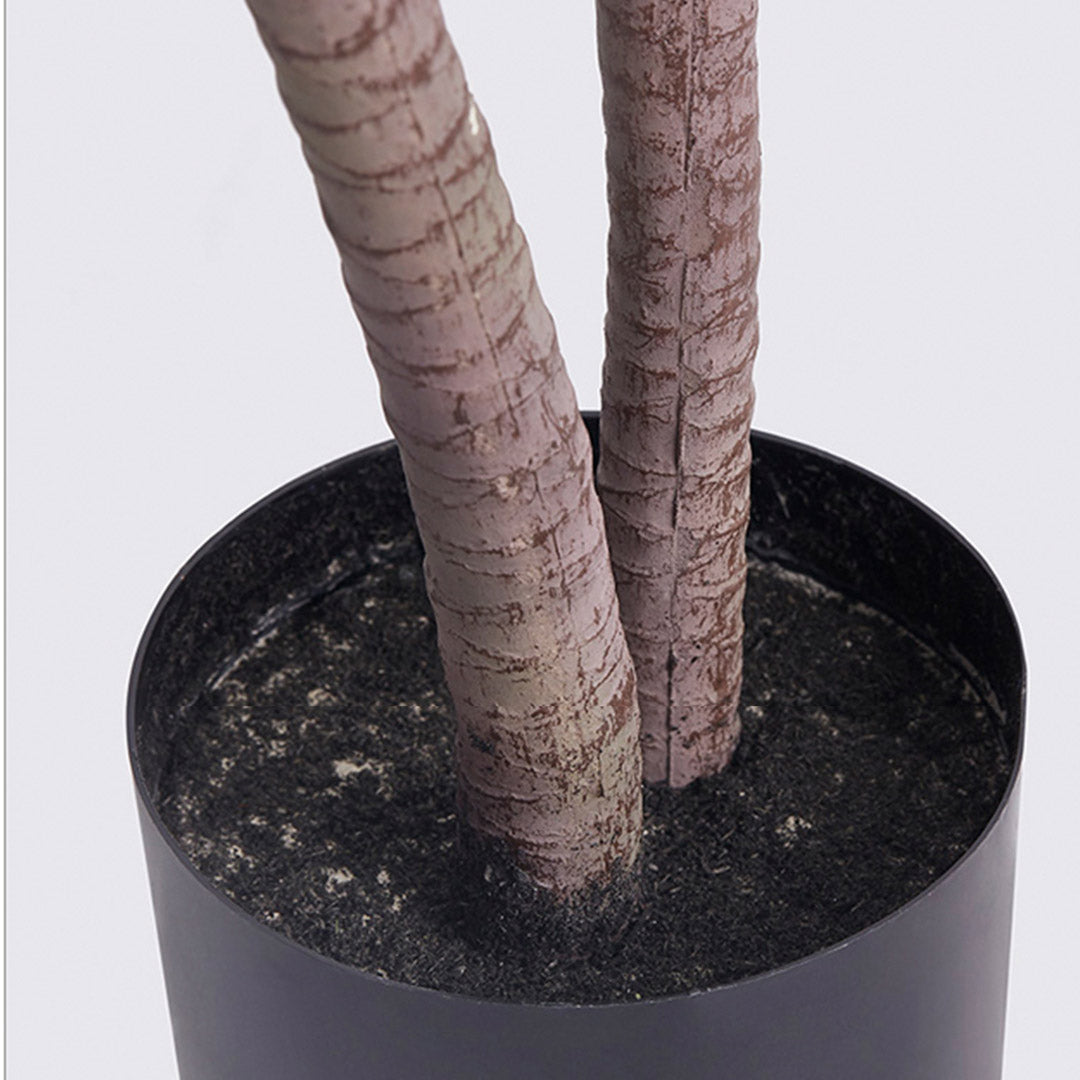 SOGA 150cm Artificial Indoor Dragon Blood Tree