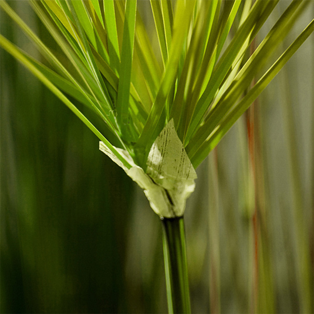 SOGA 150cm Green  Artificial Indoor Potted Papyrus Plant