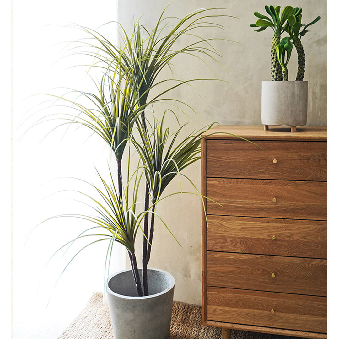 SOGA 145cm Artificial Indoor Dragon Blood Tree