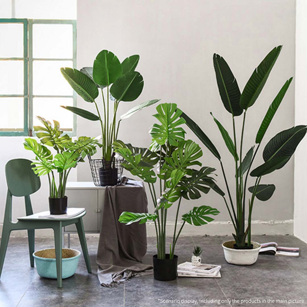 113cm Artificial Turtle Back Plant- image showing the plant in a room setting