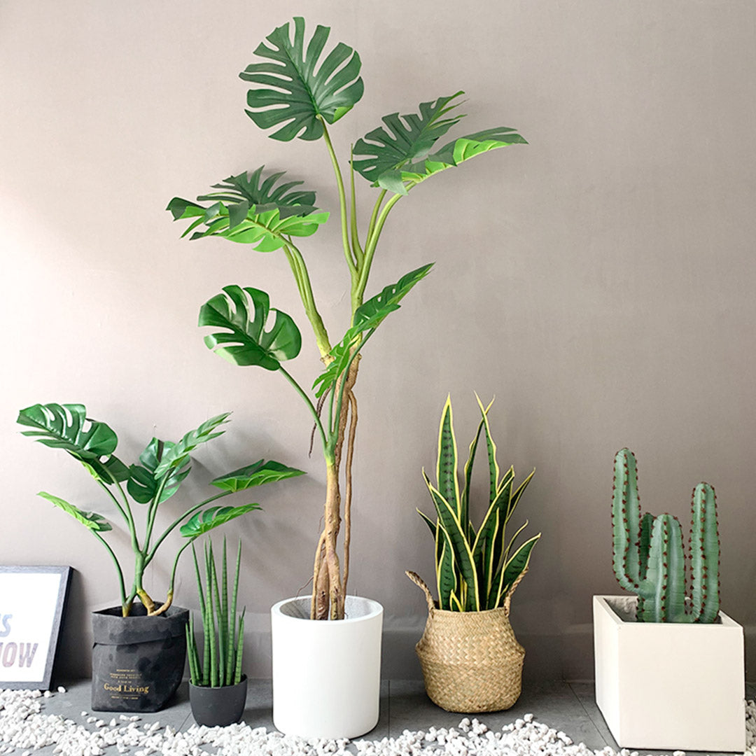 160cm Artificial Turtle Back Plant – display ideas with other plants