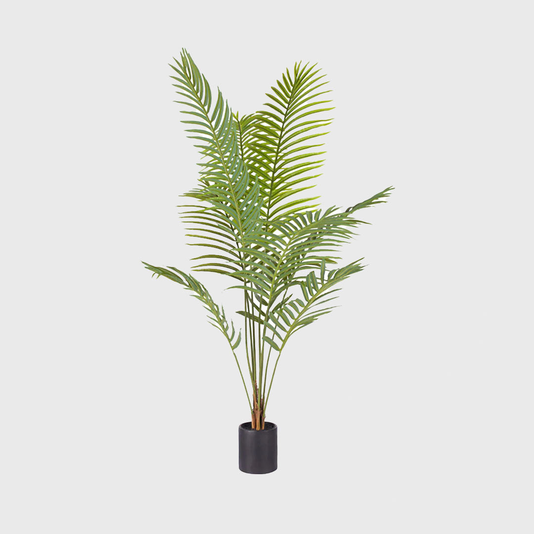 180cm Artificial Rogue Areca Palm Tree-Main front image