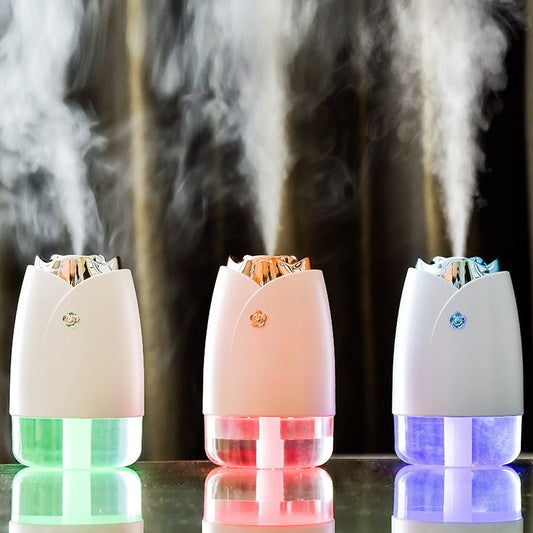 MiniMistifier Household Humidifier- USB