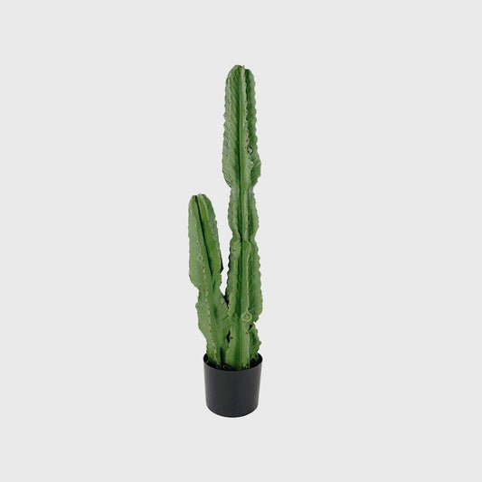 Indoor cactus- Artificial