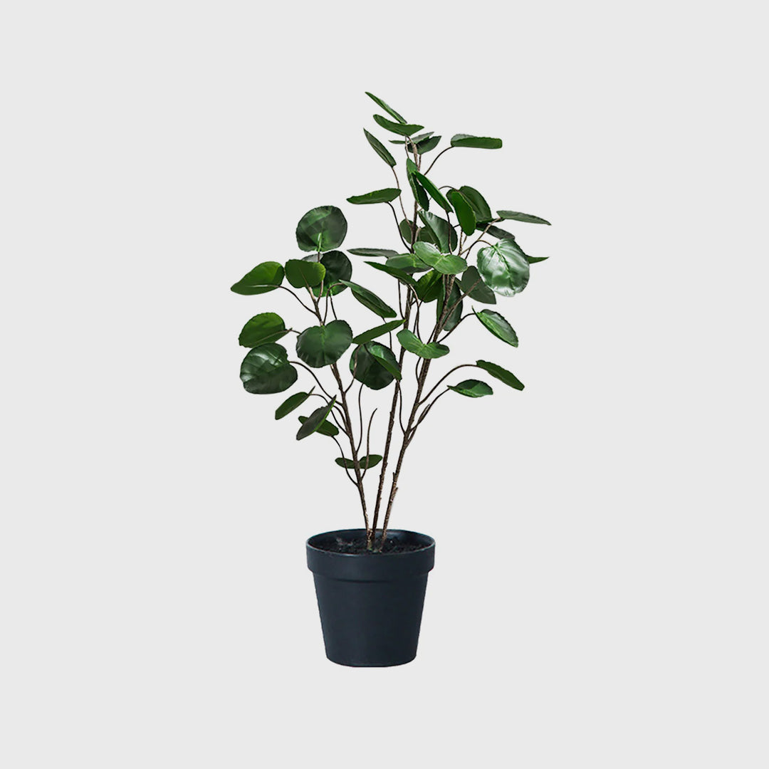 SOGA 95cm Artificial Indoor Pocket Money Tree