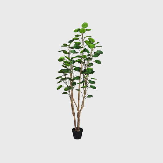 SOGA 150cm Artificial Indoor Pocket Money Tree