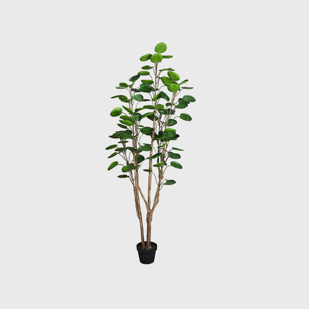 SOGA 180cm Artificial Indoor Pocket Money Tree