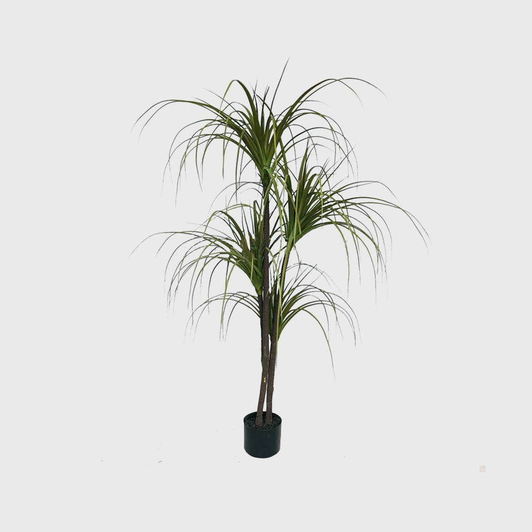 SOGA 150cm Artificial Indoor Dragon Blood Tree