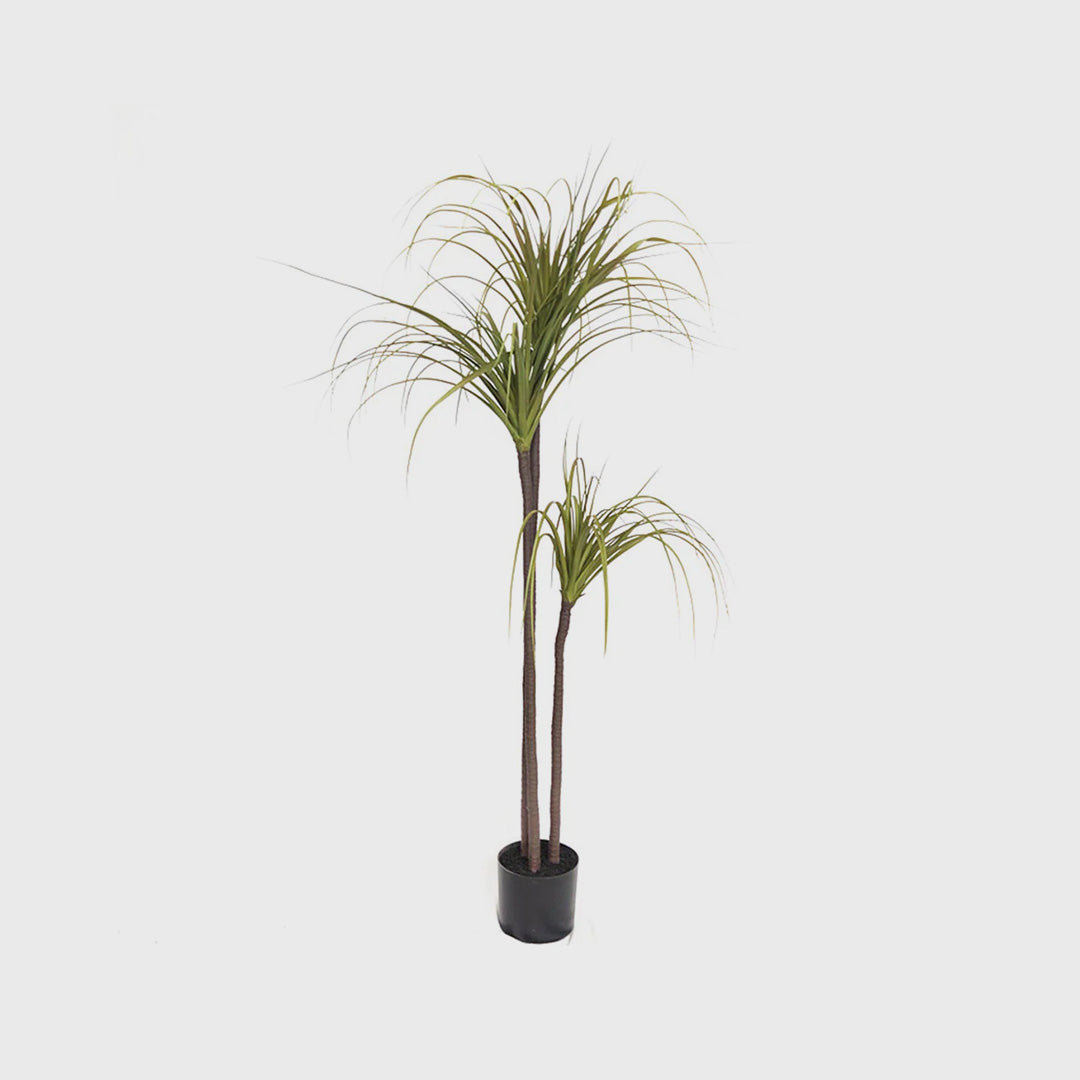 SOGA 145cm Artificial Indoor Dragon Blood Tree