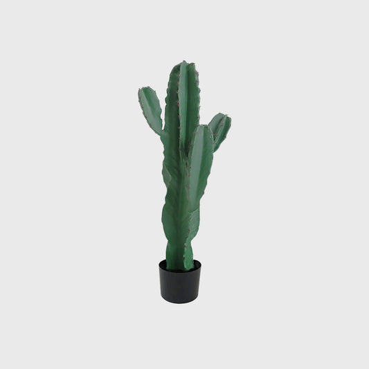 Artificial cactus Potted